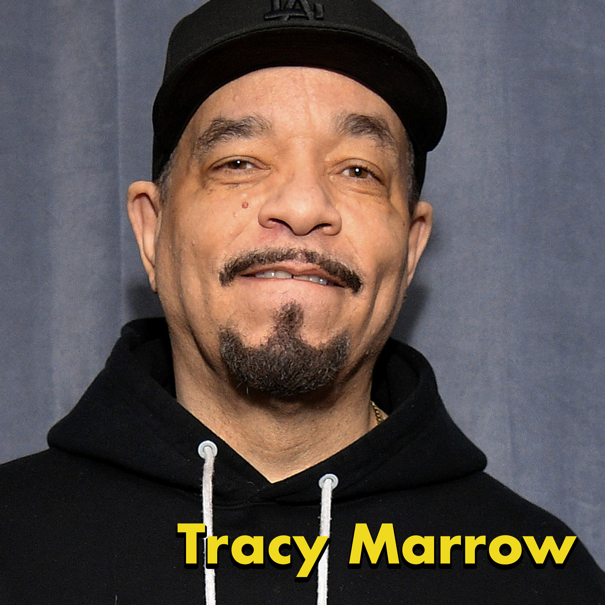 Celebrities' Real Names - ice t