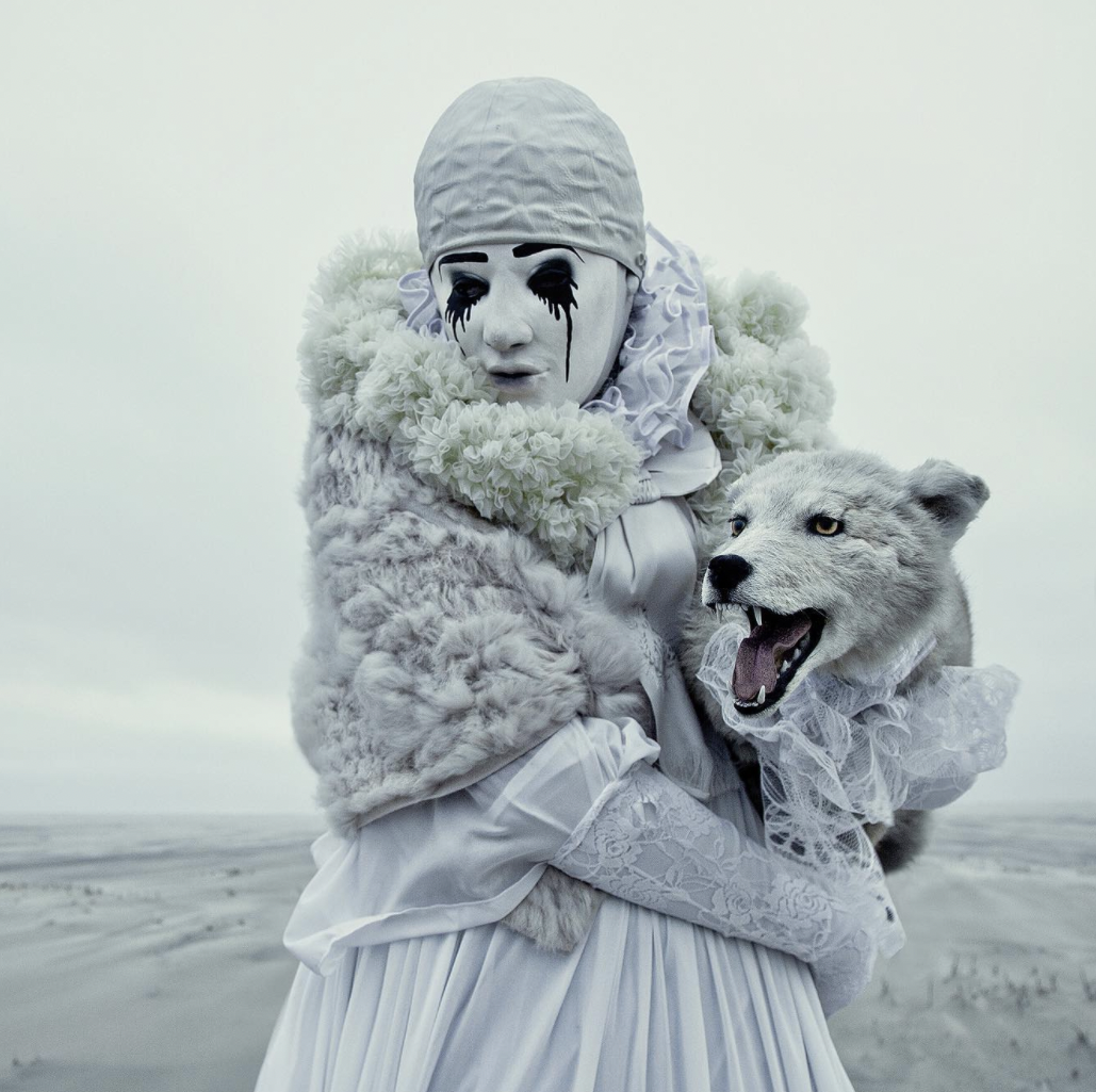 Mothmeister Photography - winter