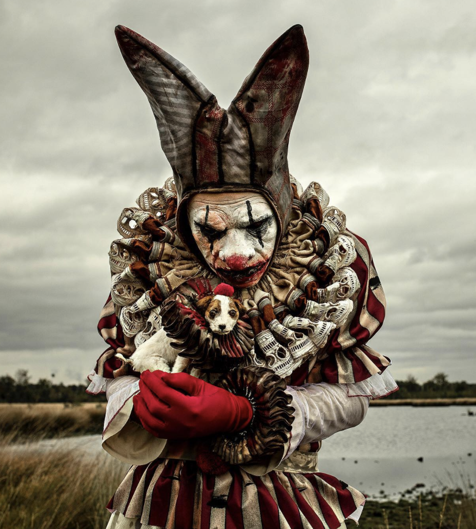 Mothmeister Photography - Photography