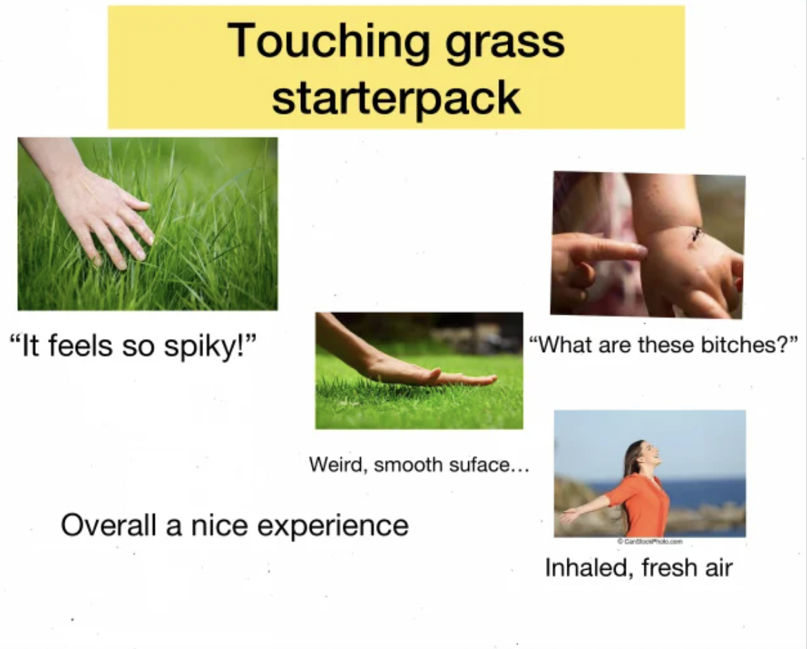 Starter Packs - grass - Touching grass starterpack "It feels so spiky!" "What are these bitches?" Weird, smooth suface... Overall a nice experience Inhaled, fresh air