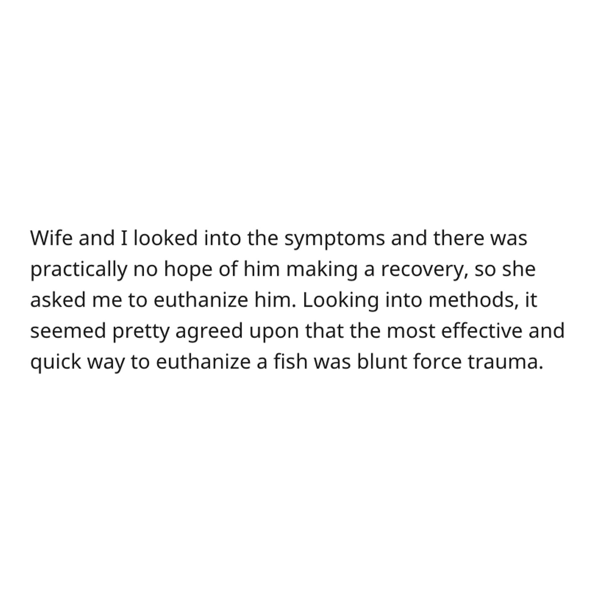 goldfish story - quote karma - Wife and I looked into the symptoms and there was practically no hope of him making a recovery, so she asked me to euthanize him. Looking into methods, it seemed pretty agreed upon that the most effective and quick way to eu
