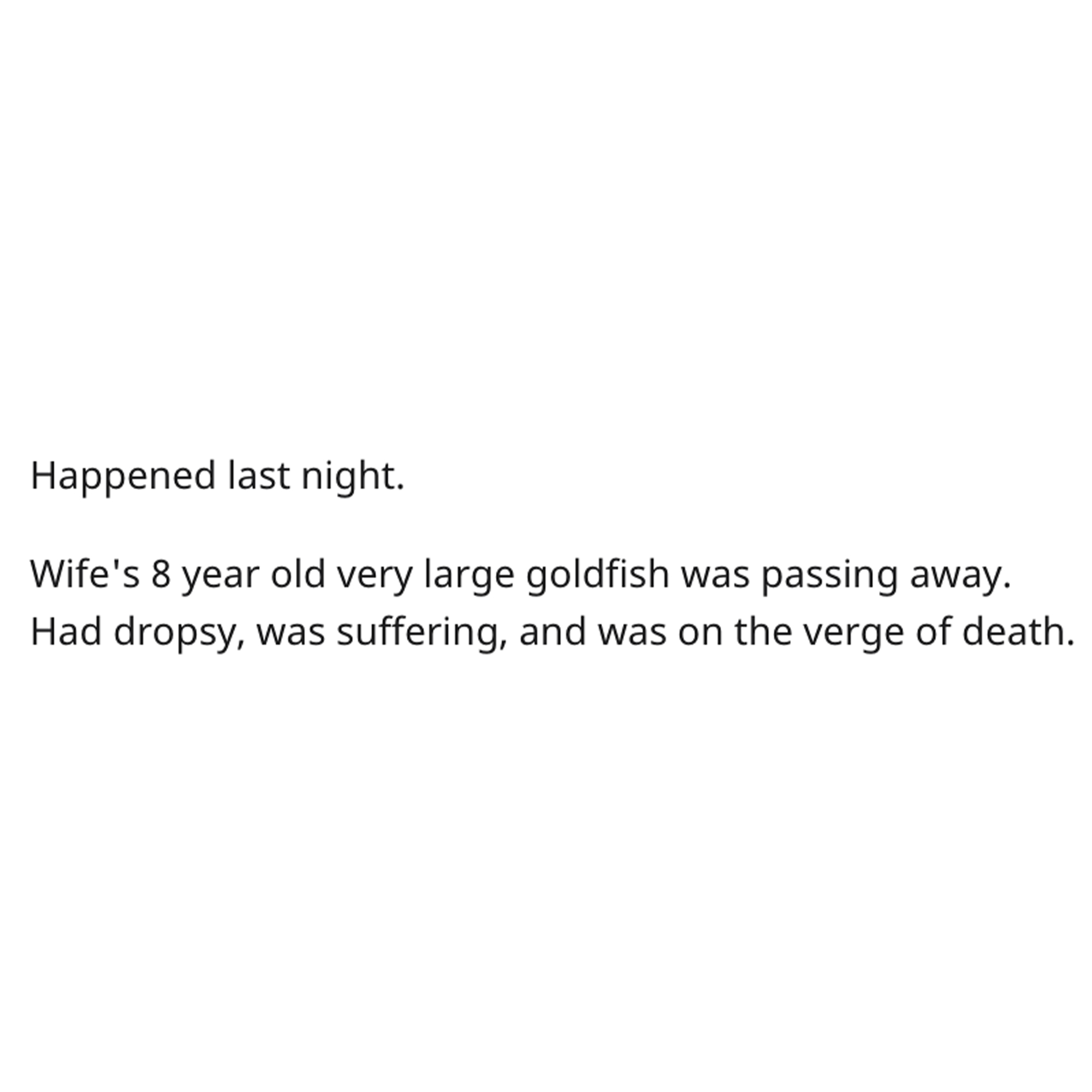 goldfish story - available - Happened last night. Wife's 8 year old very large goldfish was passing away. Had dropsy, was suffering, and was on the verge of death.