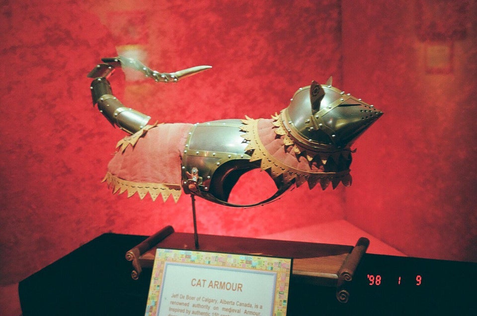 cat armor - Cat Armour '98 | 9 Jet De Boer of Calgary, Alberta Canada is a renowned authority on medieval Armour Inspired by authentic