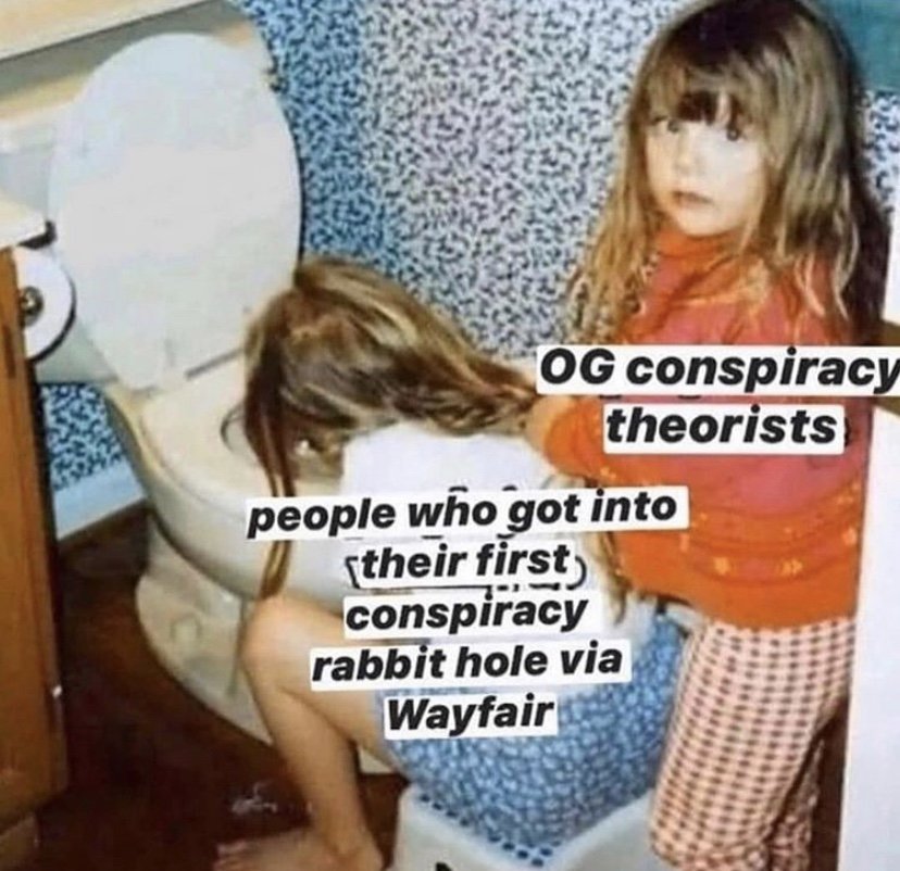conspiracy theory memes - girl - Og conspiracy theorists people who got into ftheir first conspiracy rabbit hole via Wayfair