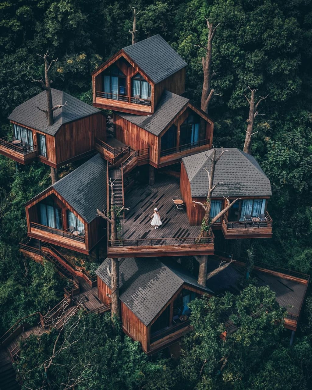 tree house in china