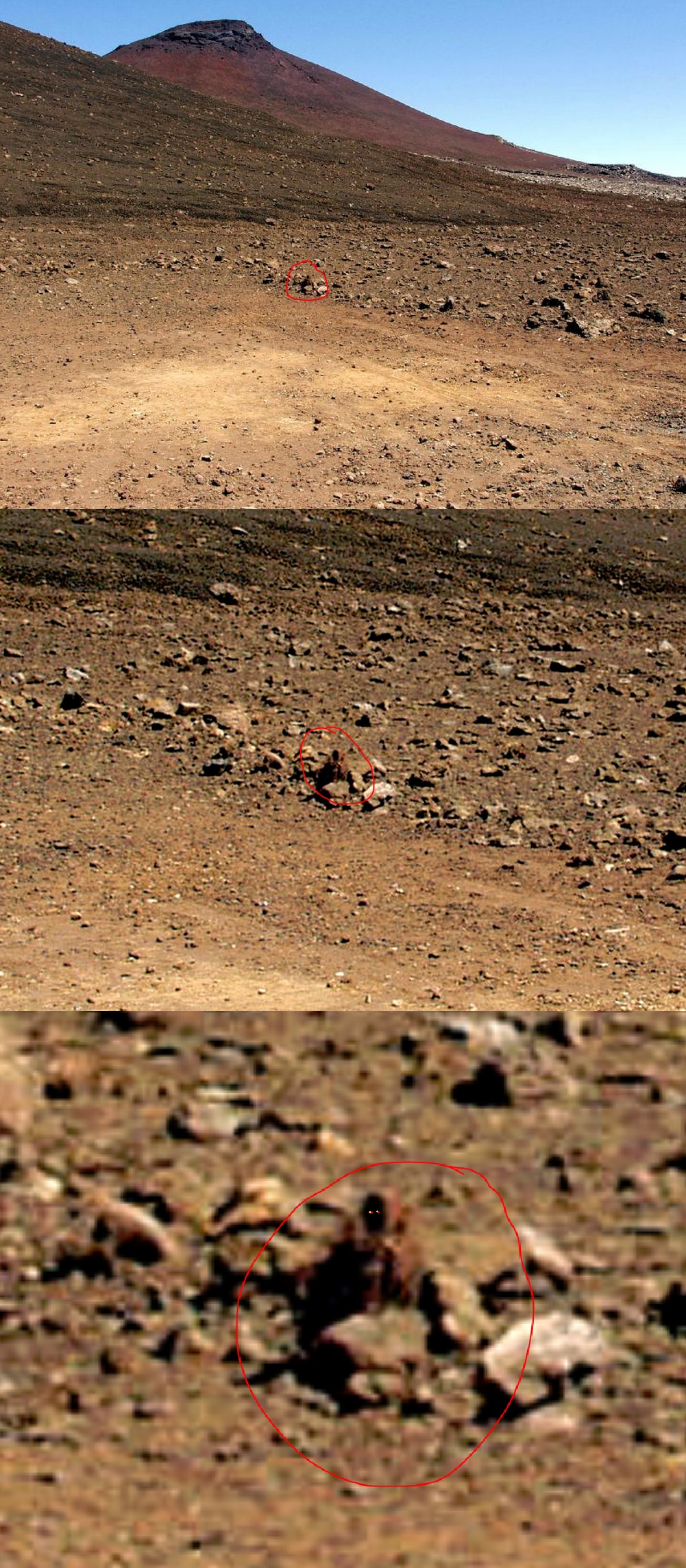 Mars Curiosity Rover Captures Jawa in Image
