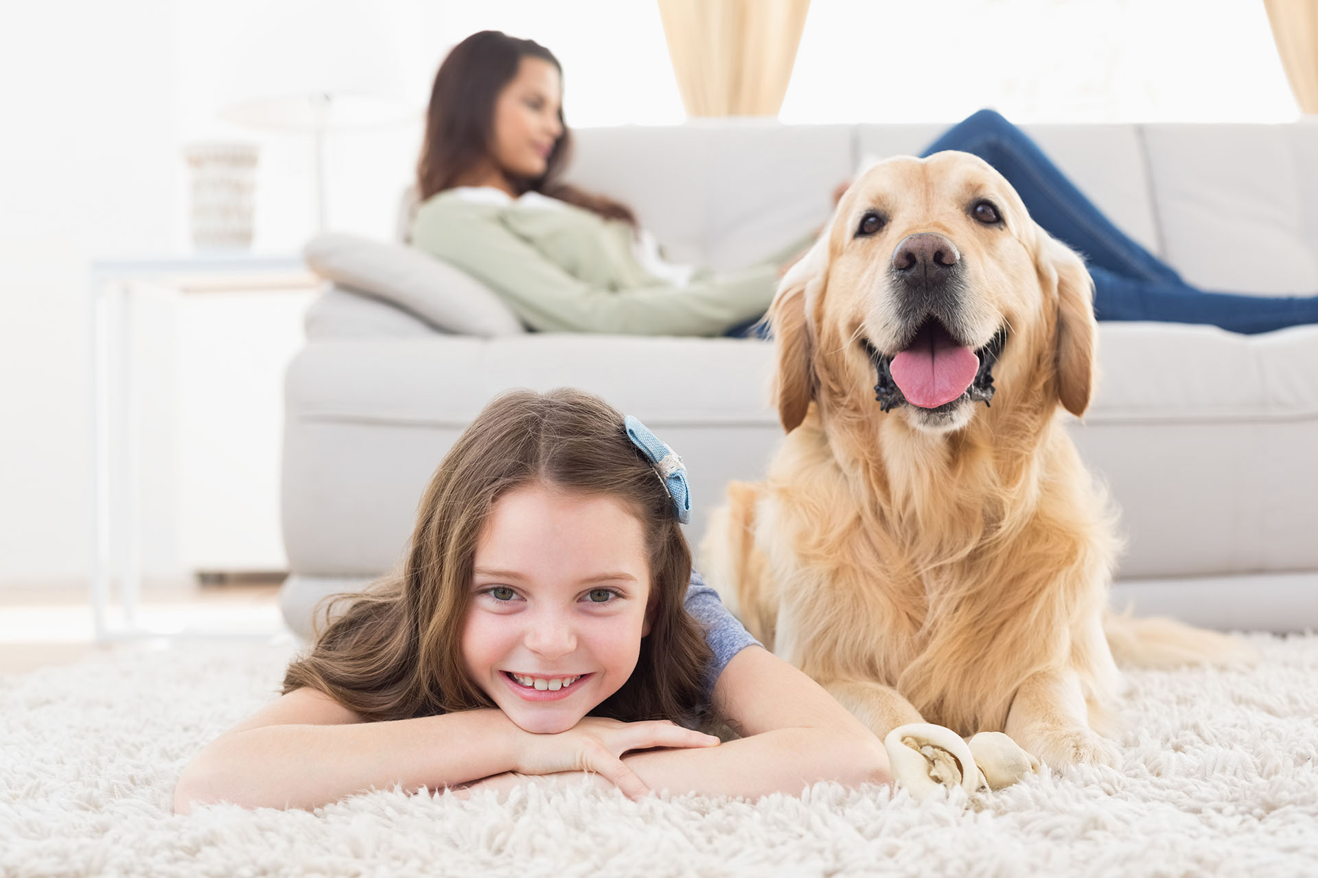 Reasons Why You Need to Train Your Dog -

1. Training benefits both dog and owner For their own safety
2. It helps your dog to be more sociable
3. Training makes boarding your dog go smoothly
4. Because you can teach old dogs new tricks

Click Here- https://bit.ly/3Blxa47