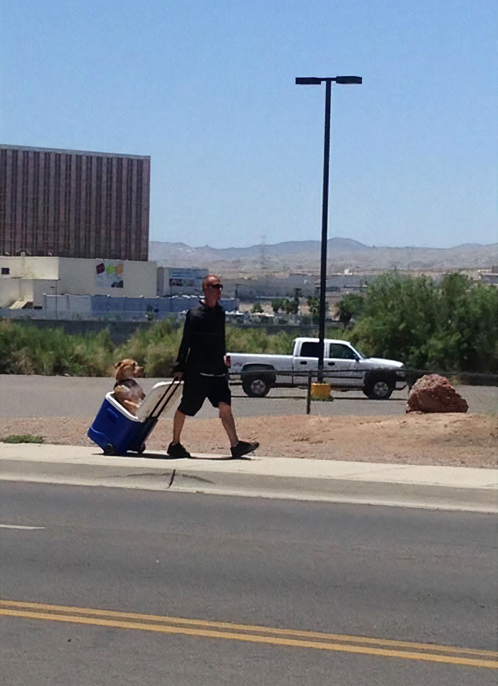 Guy In Hot Arizona Heat Did Not Want His Dog’s Paws To Burn So He Pulls Him In A Cooler