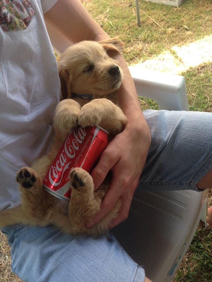 How We Beat The Heat In Australia. Ice Cold Can On A Warm Belly