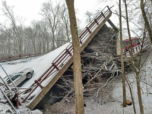 pittsburgh bridge collapse - tree