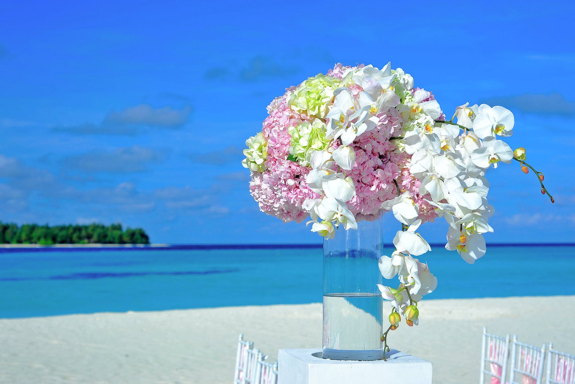 flower vase beach