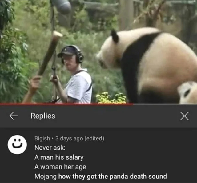 cursed comments - never ask mojang how they got the panda death sound - Replies Bigish 3 days ago edited Never ask A man his salary A woman her age Mojang how they got the panda death sound x