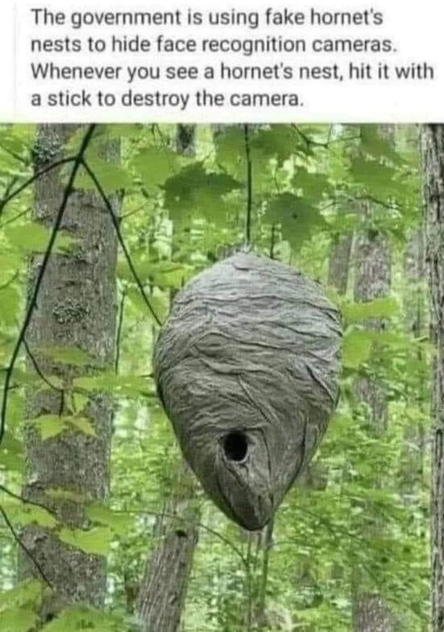 dank memes - funny memes - fauna - The government is using fake hornet's nests to hide face recognition cameras. Whenever you see a hornet's nest, hit it with a stick to destroy the camera.