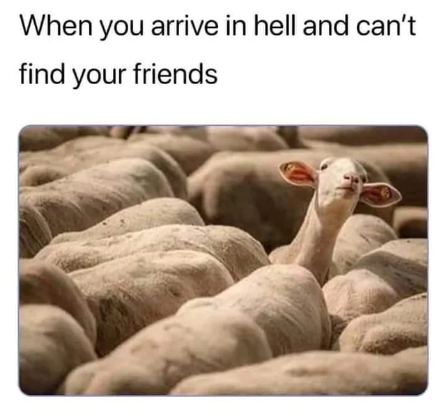 dank memes - funny memes - you arrive in hell and can t see your best friend - When you arrive in hell and can't find your friends