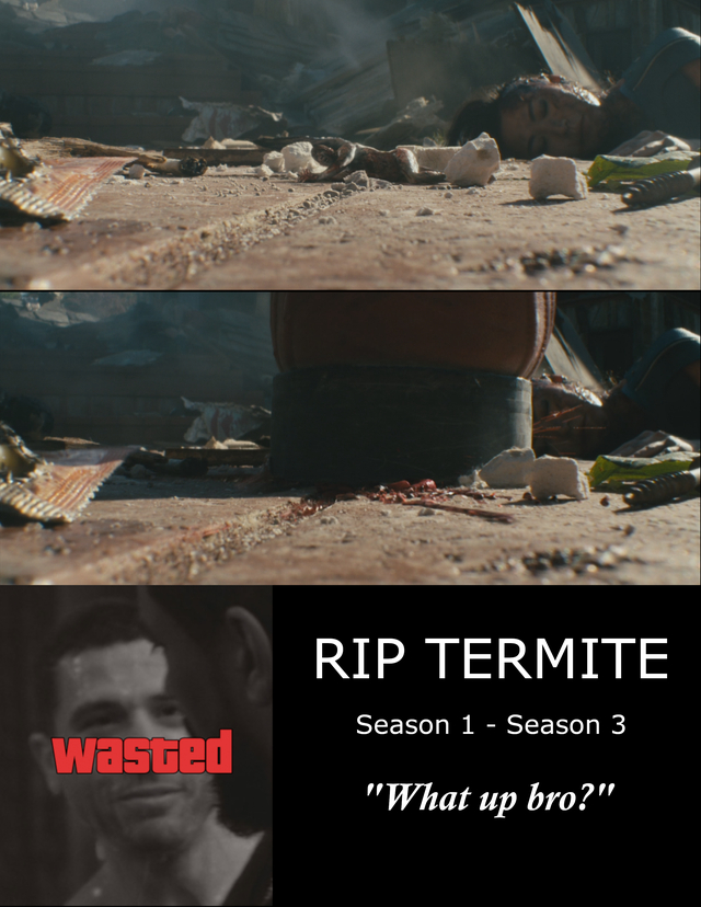 the boys season 3 memes - wasted Rip Termite Season 1 Season 3 "What up bro?"