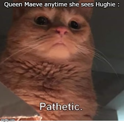 the boys season 3 memes - cat saying pathetic - Queen Maeve anytime she sees Hughie imgflip.com Pathetic.