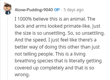 bigfoot encounters - paper - AlonePudding9040 Op 5 days ago I 1000% believe this is an animal. The back and arms looked primate. Just the size is so unsettling. So, so unsettling. And the speed. I just feel there's a better way of doing this other than ju