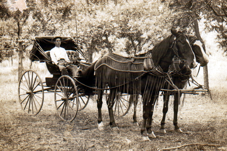 Disturbing History Facts  - horse and buggy -