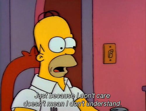 Memorable Simpsons Quotes - simpson quotes - 6 Just because I don't care doesnt mean I dont understand.