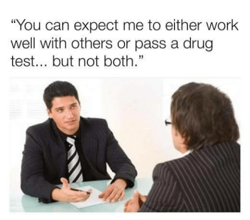 job interview don't - what's your biggest weakness meme - "You can expect me to either work well with others or pass a drug a test... but not both..