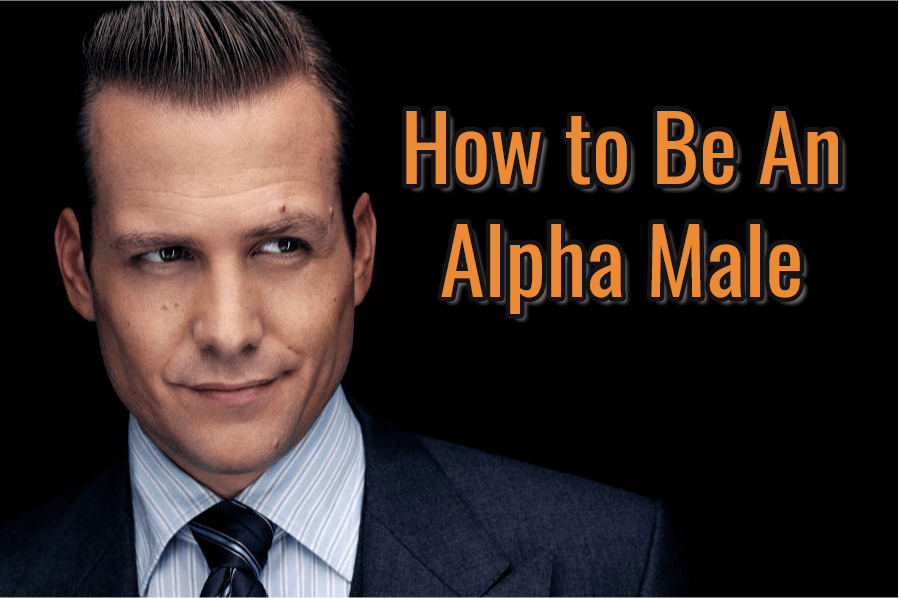 small dick energy  - alpha male - How to Be An Alpha Male