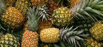 fascinating facts - pineapples berries