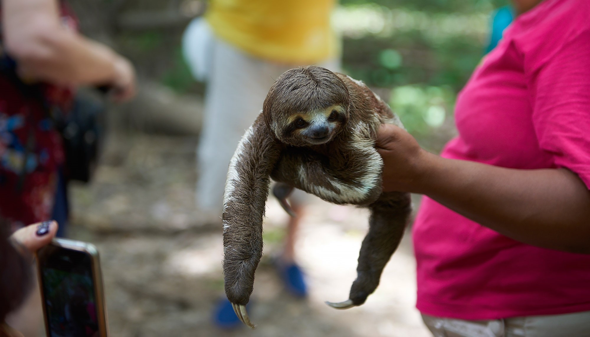 Odd things People have a guy for - I have a sloth guy.