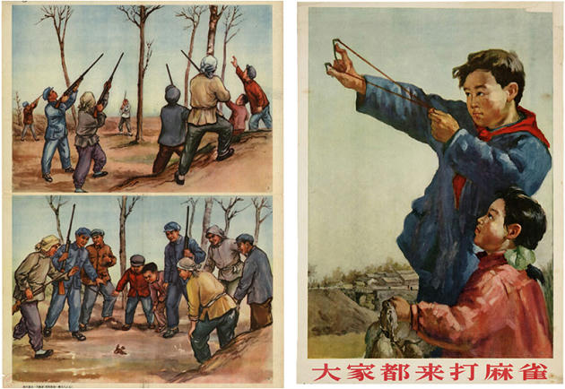 Absurd Historical Events - Chinese revolutionaries blaming the sparrows for famine