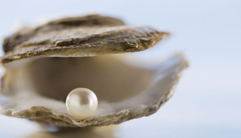 WTF Facts - pearl in oyster shell