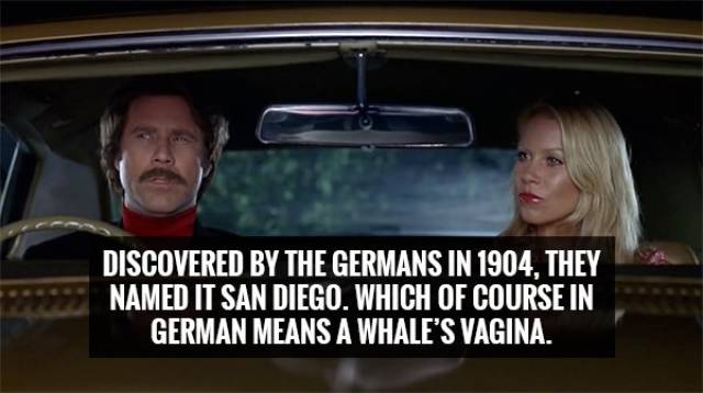 car - Discovered By The Germans In 1904, They Named It San Diego, Which Of Course In German Means A Whale'S Vagina.