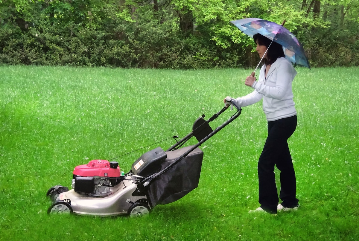 red flags - Mowing grass in the rain