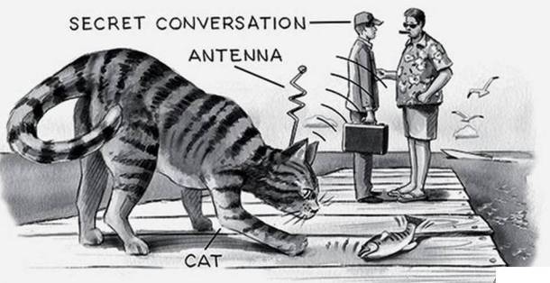 acoustic kitty - Secret Conversation Antenna Cat