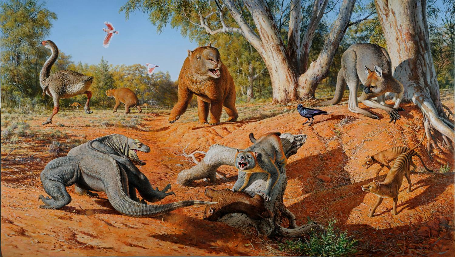 Science Facts - australian megafauna - Done