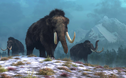Science Facts - woolly mammoth