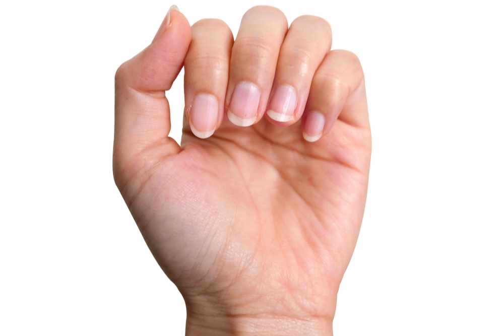 Fascinating Facts --  human fingernail