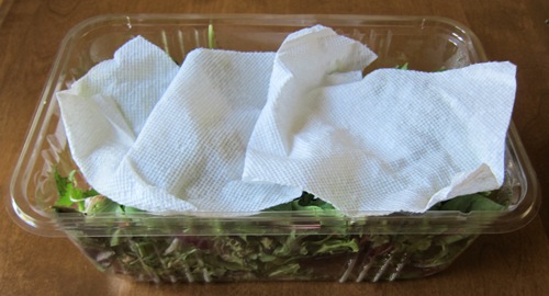 Life Hacks - Putting a piece of paper towel in a boxed salad will absorb moisture and prolong its shelf life