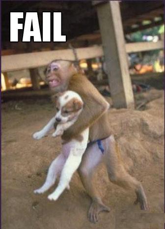 Monkey steals dog