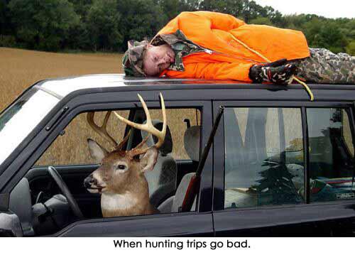 when hunting goes wrong