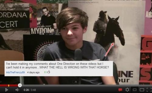 funniest youtube comments - Ordana Cert Myron I've been making my about One Direction on these videos but I can't hold it in anymore. What The Hell Is Wrong With That Horse? Into TheFrenzy 4 days ago 10 Ine dur 0.28348