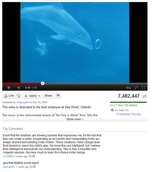 youtube comment dolphin - 360p 7,482,447 Add to Uploaded by chiajungchi on This video is dedicated to the best employee at Sea World, Orlando 23,317 , 528 disikes As Seen On Tywkiwdb TaiWr The music is the instrumental version of "No One is Alone" from "I