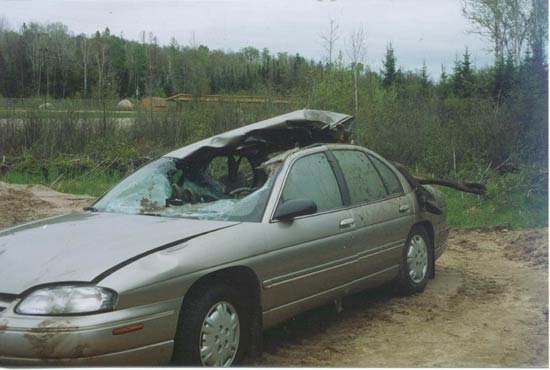 Moose and Car Accident