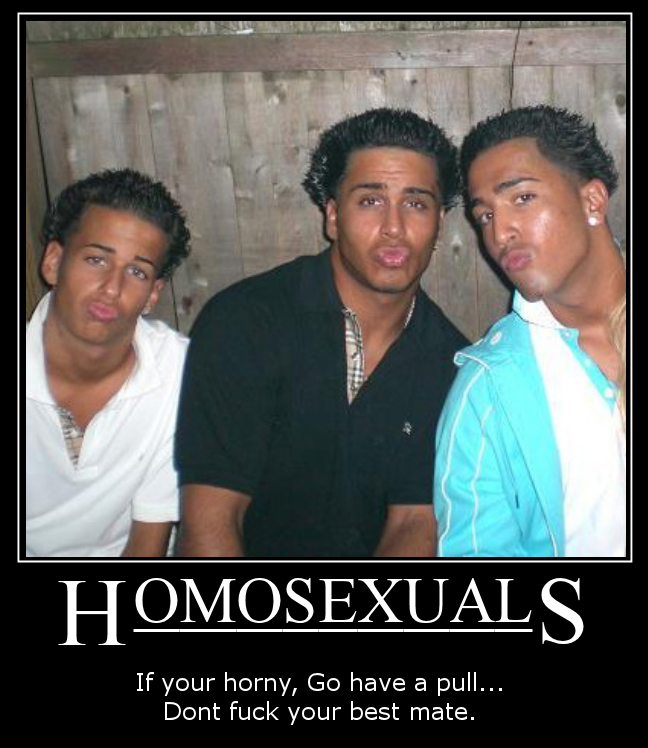 A quick de-motivational poster on homosexuals.