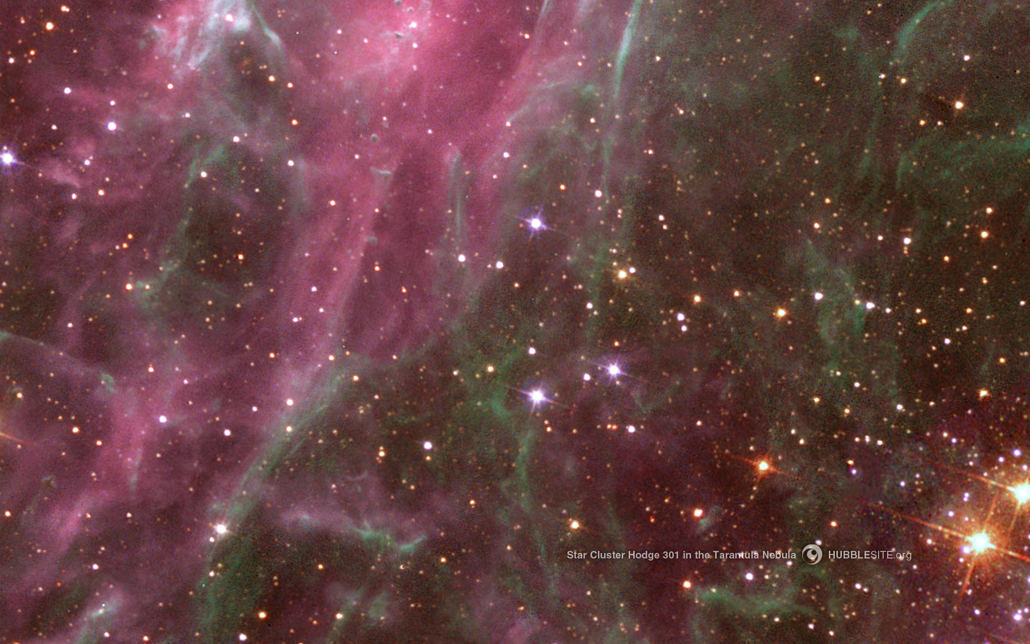 Star Cluster Hodge 301 in the Tarantula Nebula