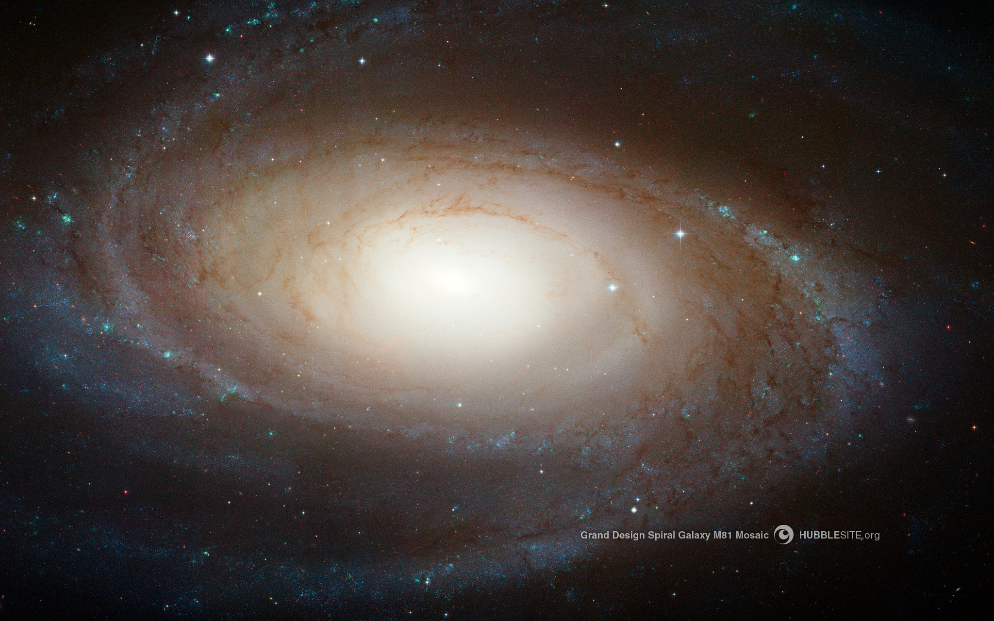 Spiral Galaxy M81