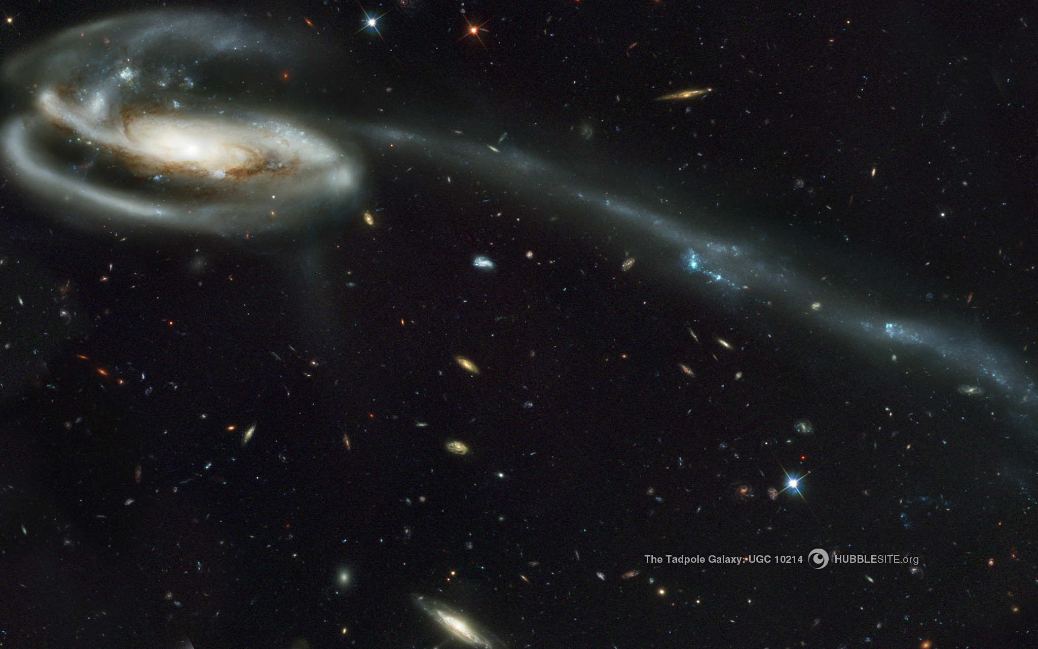 The Tadpole Galaxy UGC 10214