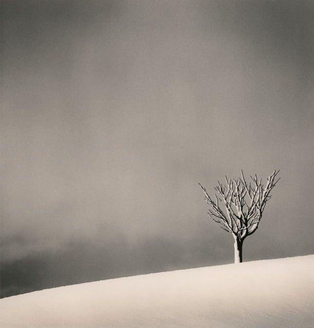 Amazing black and white photography