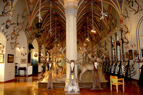 Cathedral of Antlers