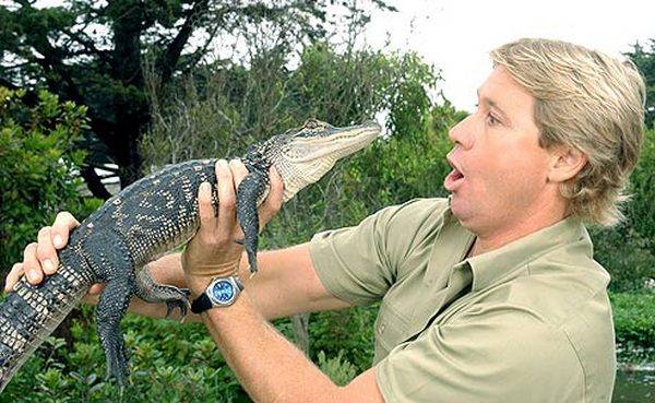 September 2006. Steve Irwin, known as “The Crocodile Hunter”, was stung and killed by a stingray while filming an underwater documentary entitled Ocean’s Deadliest.