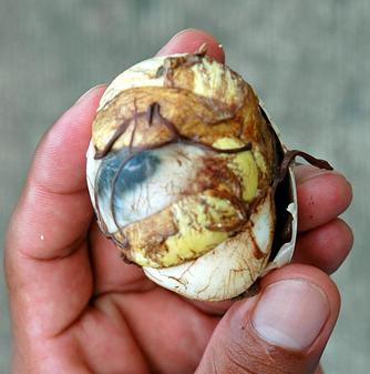 Balut are duck eggs that have been incubated until the fetus is all feathery and beaky, and then boiled alive. The bones give the eggs a uniquely crunchy texture.
