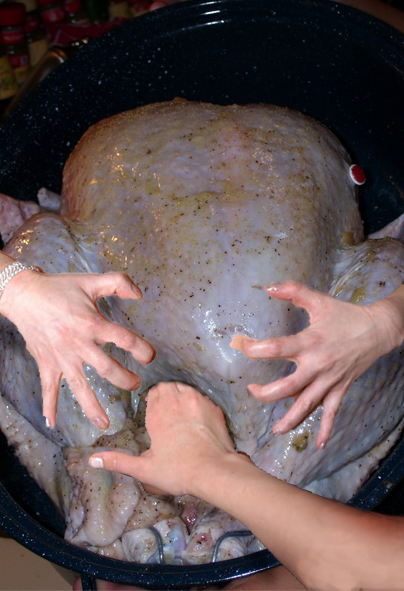 Give me a hand with this turkey will yah